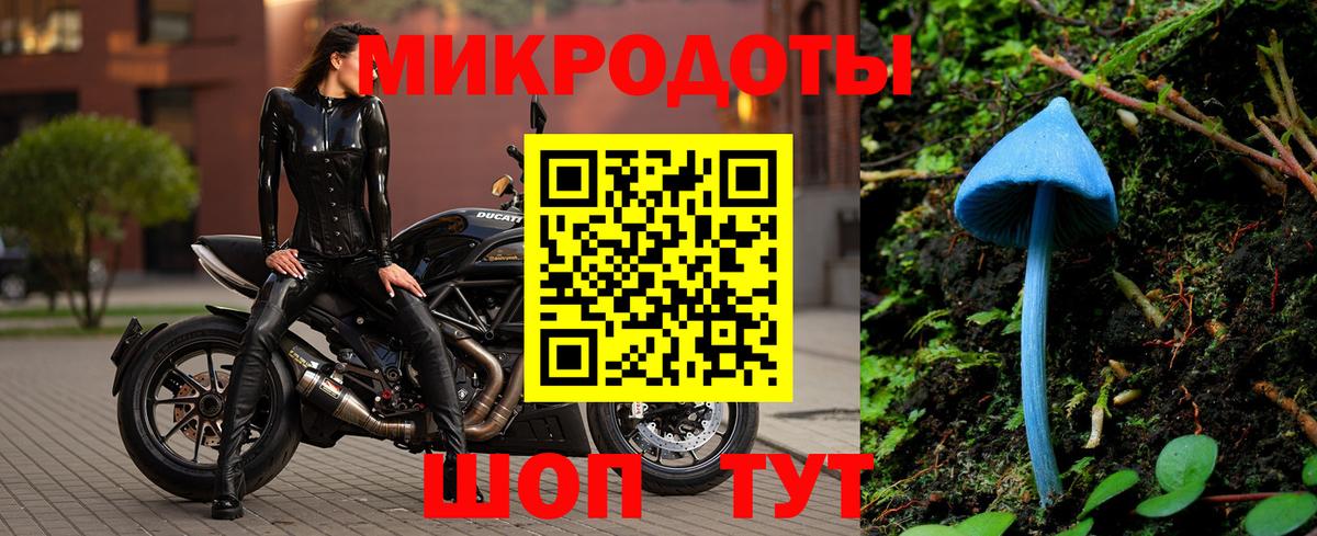 Галлюциногенные грибы прущие грибы Лангепас